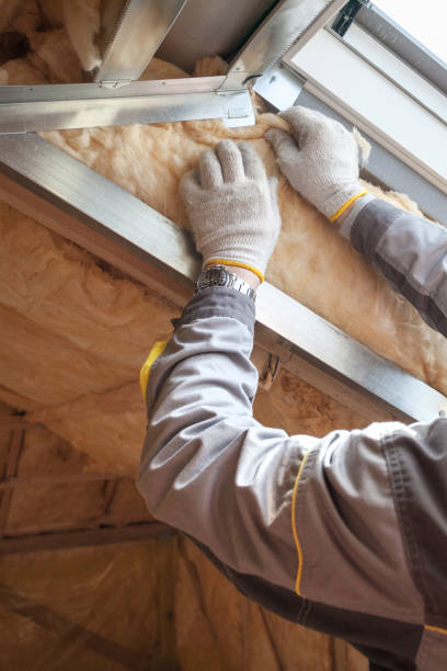 Best Commercial Insulation Services  in Old River Winfree, TX