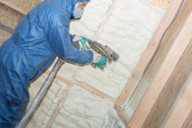 Best Wall Insulation Installation  in Old River Winfree, TX